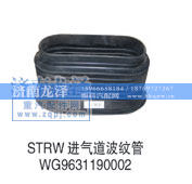 WG9631190002,进气道波纹管,山东弗壳润滑科技有限公司