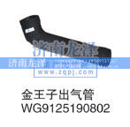 WG9125190802,金王子出气管,山东弗壳润滑科技有限公司