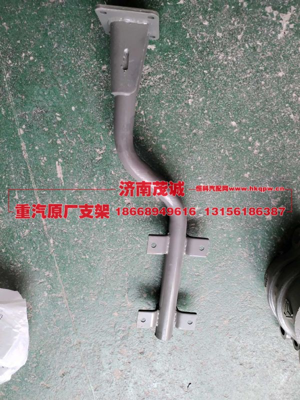 右后翼子板支架总成(与左件对称)(常州良盛,WG1664235044