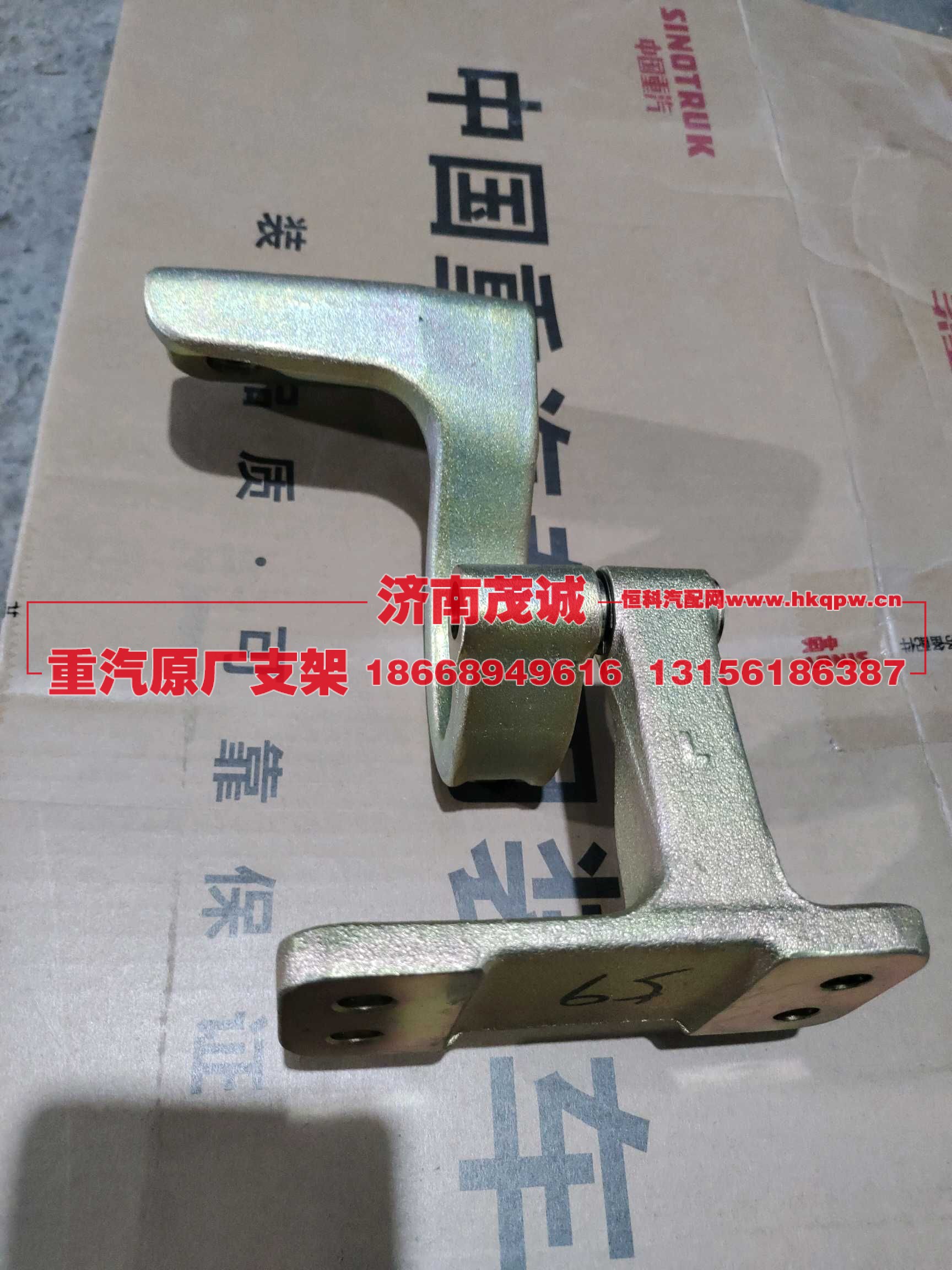 左门上部铰链前总成,WG1671210059