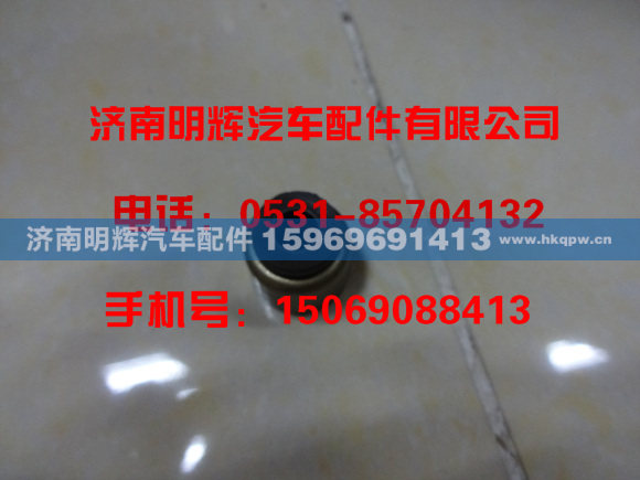 G6600-1003105,G6600-1003105气门杆油封,济南明辉汽车配件有限公司