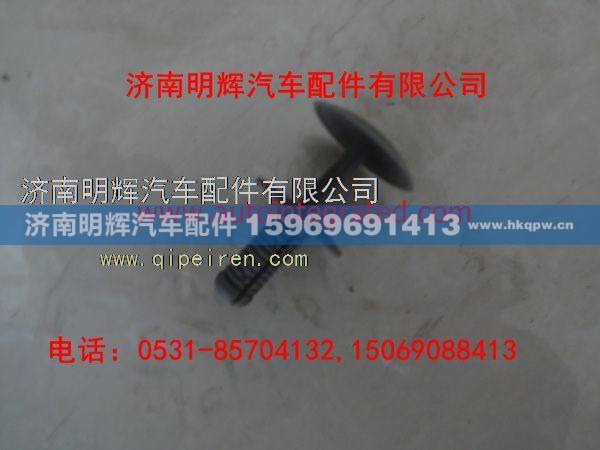 LG1611930008,重汽豪沃轻卡配件卡扣（顶棚）,济南明辉汽车配件有限公司