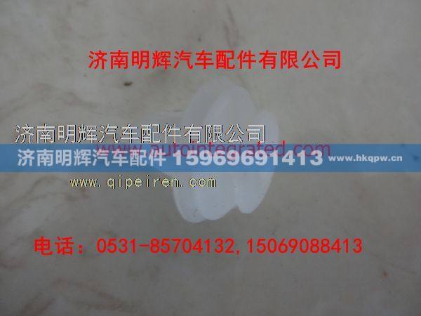 LG1611930014,重汽豪沃轻卡配件卡扣（内饰）,济南明辉汽车配件有限公司