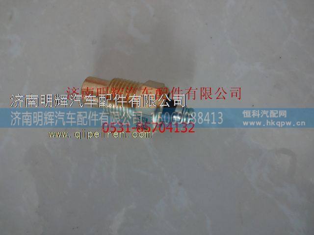 WG127513808A51-020B,重汽豪沃（HOWO）轻卡水温表传感器,济南明辉汽车配件有限公司