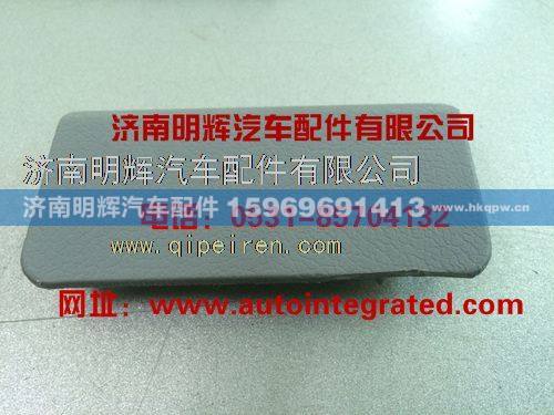 LG1611330028,重汽豪沃（HOWO）轻卡配件车门开关盖板（右前）,济南明辉汽车配件有限公司