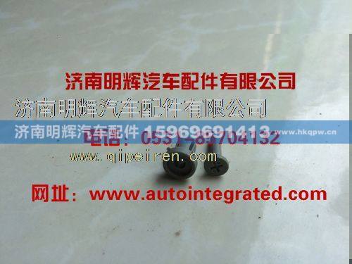 LG1611930009,重汽豪沃（HOWO）轻卡配件卡扣(车门内衬板上角用),济南明辉汽车配件有限公司