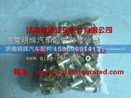 3502Q04-106,重汽豪沃（HOWO）轻卡配件铆钉,济南明辉汽车配件有限公司