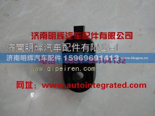 LG9704790001,重汽豪沃（HOWO）轻卡配件门灯开关,济南明辉汽车配件有限公司