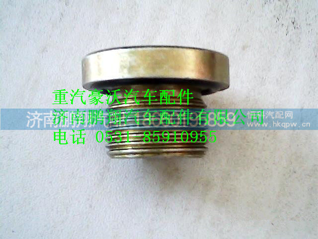 wg9231340002,重汽豪沃圆柱内六角头螺塞总成,济南鹏翔汽车配件有限公司
