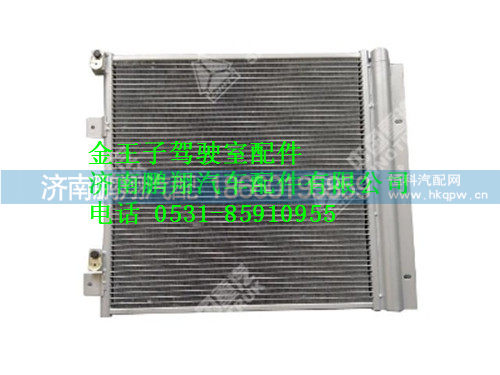 wg1608821040-0,冷凝器总成金王子,济南鹏翔汽车配件有限公司