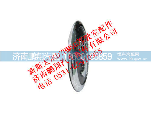 wg1632111010-0,STEYR图案商标（新斯太尔M5驾驶室）,济南鹏翔汽车配件有限公司