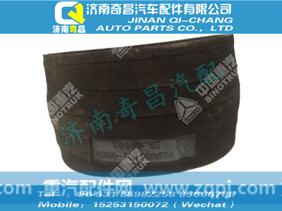 752w08201-0003,T5G配件 T5G橡胶软管接头,济南奇昌汽车配件有限公司