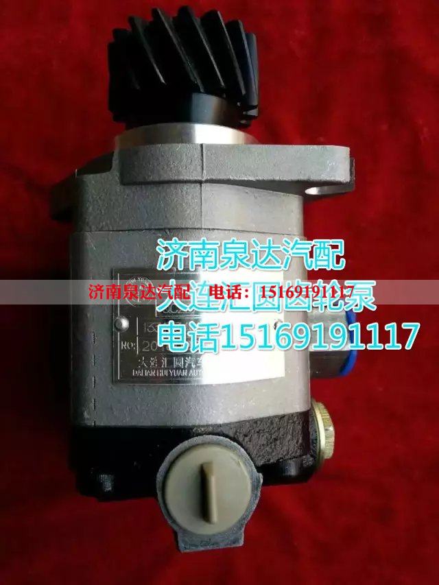 1331334002002,轉(zhuǎn)向巨力泵/齒輪泵,濟南泉達汽配有限公司