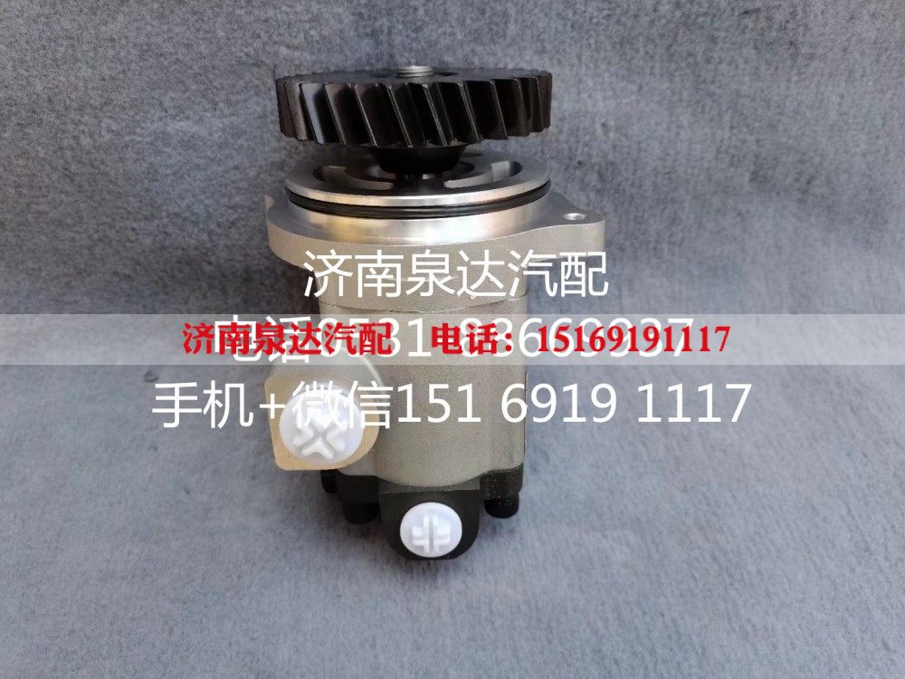 QC25/19-WP12N1-SD,转向助力泵,济南泉达汽配有限公司