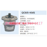 QC6/15-KMS,轉(zhuǎn)向助力泵,濟(jì)南泉達(dá)汽配有限公司