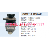 QC12/10-D10WX,動(dòng)力轉(zhuǎn)向齒輪泵,濟(jì)南泉達(dá)汽配有限公司