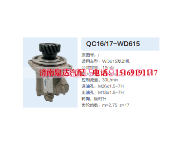 QC16/17-WD615,動(dòng)力轉(zhuǎn)向齒輪泵,濟(jì)南泉達(dá)汽配有限公司