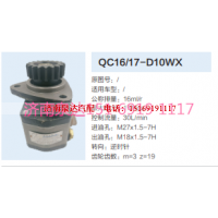 QC16/17-D10WX,動力轉(zhuǎn)向齒輪泵,濟南泉達(dá)汽配有限公司