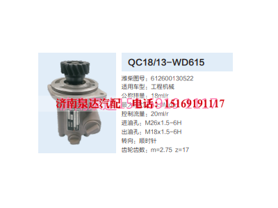 QC18/13-WD615,動(dòng)力轉(zhuǎn)向齒輪泵,濟(jì)南泉達(dá)汽配有限公司