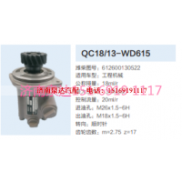 QC18/13-WD615,動(dòng)力轉(zhuǎn)向齒輪泵,濟(jì)南泉達(dá)汽配有限公司