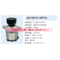 612600130514,动力转向齿轮泵,济南泉达汽配有限公司