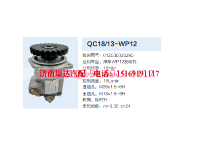 QC18/13-WP12,动力转向齿轮泵,济南泉达汽配有限公司