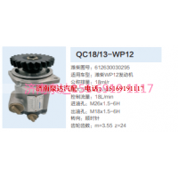 QC18/13-WP12,动力转向齿轮泵,济南泉达汽配有限公司