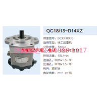 QC18/13-D14XZ,动力转向齿轮泵,济南泉达汽配有限公司