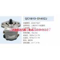 QC18/13-D14XZJ,动力转向齿轮泵,济南泉达汽配有限公司