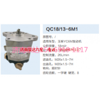 QC18/13-6M1,动力转向齿轮泵,济南泉达汽配有限公司