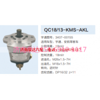 3407-00155,動(dòng)力轉(zhuǎn)向齒輪泵,濟(jì)南泉達(dá)汽配有限公司