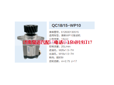 QC18/15-WP10,動力轉向齒輪泵,濟南泉達汽配有限公司