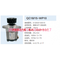 QC18/15-WP10,動力轉向齒輪泵,濟南泉達汽配有限公司