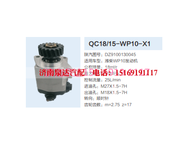 WC18/15-WP10-X1,动力转向齿轮泵,济南泉达汽配有限公司