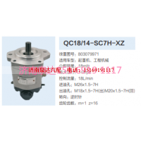 803079971,動力轉(zhuǎn)向齒輪泵,濟南泉達汽配有限公司