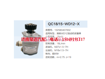 QC18/15-WD12-X,动力转向齿轮泵,济南泉达汽配有限公司