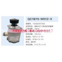 QC18/15-WD12-X,动力转向齿轮泵,济南泉达汽配有限公司
