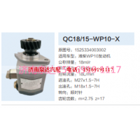 QC18/15-WP10-X,动力转向齿轮泵,济南泉达汽配有限公司