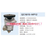QC18/15-WP12,動力轉(zhuǎn)向齒輪泵,濟南泉達(dá)汽配有限公司
