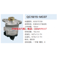 803075789,动力转向齿轮泵,济南泉达汽配有限公司