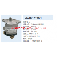 QC18/17-6M1,动力转向齿轮泵,济南泉达汽配有限公司