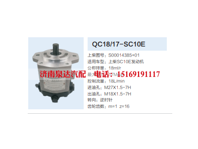 S00014385+01,动力转向齿轮泵,济南泉达汽配有限公司
