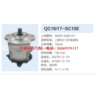 S00014385+01,动力转向齿轮泵,济南泉达汽配有限公司