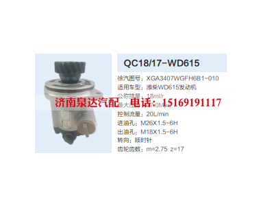 XGA3407WGFH6B1-010,动力转向齿轮泵,济南泉达汽配有限公司