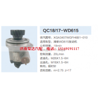 XGA3407WGFH6B1-010,动力转向齿轮泵,济南泉达汽配有限公司