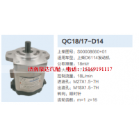 QC18/17-D14,动力转向齿轮泵,济南泉达汽配有限公司
