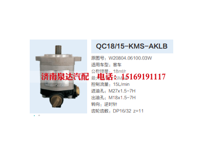 W20804.06100.03W,动力转向齿轮泵,济南泉达汽配有限公司