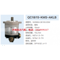 W20804.06100.03W,动力转向齿轮泵,济南泉达汽配有限公司