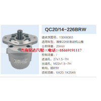 QC20/14-226BRW,动力转向齿轮泵,济南泉达汽配有限公司