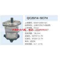 QC20/14-SC7H,动力转向齿轮泵,济南泉达汽配有限公司